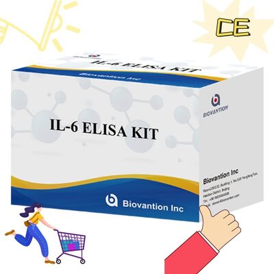 IL-6 Interleukin-6 Human ELISA Kit with 99% Accuracy 24 Months Shelf Life and 96 Tests/Kit