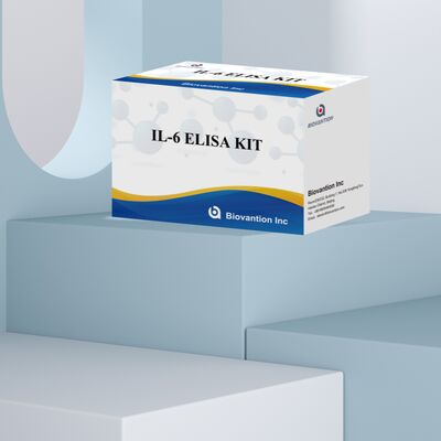 IL-6 Interleukin-6 Human ELISA Kit with 99% Accuracy 24 Months Shelf Life and 96 Tests/Kit