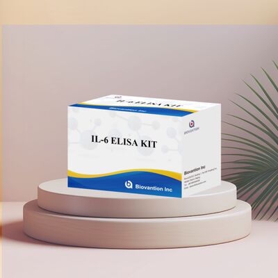 IL-6 Interleukin-6 Human ELISA Kit with 99% Accuracy 24 Months Shelf Life and 96 Tests/Kit