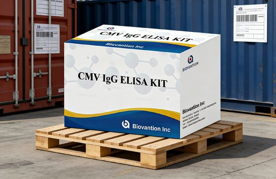 Laboratory Or Hospital High Accuracy CMV IgG Elisa Test Kit