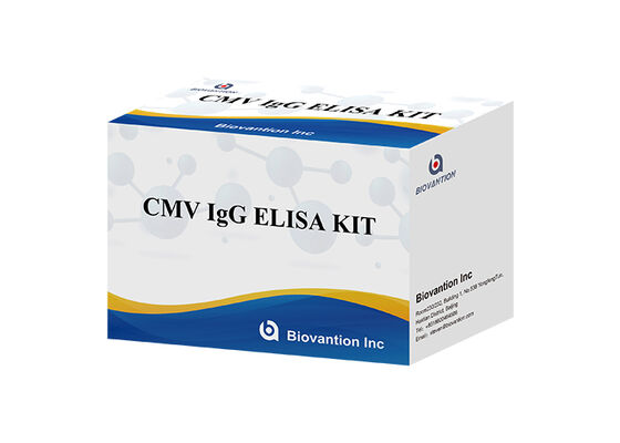 CMV IgG Elisa Test Kit Featuring 96 Wells And 8 By 12 Strip Packaging