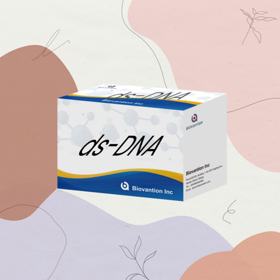 Biovantion Ds-DNA Sensitivity ELISA Test Kit IVD Reagent For Human Use