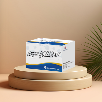 High Sensitivity Dengue IgG/IgM Rapid Test with Colloidal Gold Method and 24 Months Shelf Life
