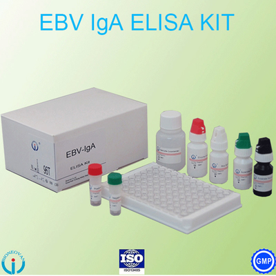 EBV-VCA IgA Ab Test ELISA Kit Enzyme Immunoassay Test Plasma Specimen