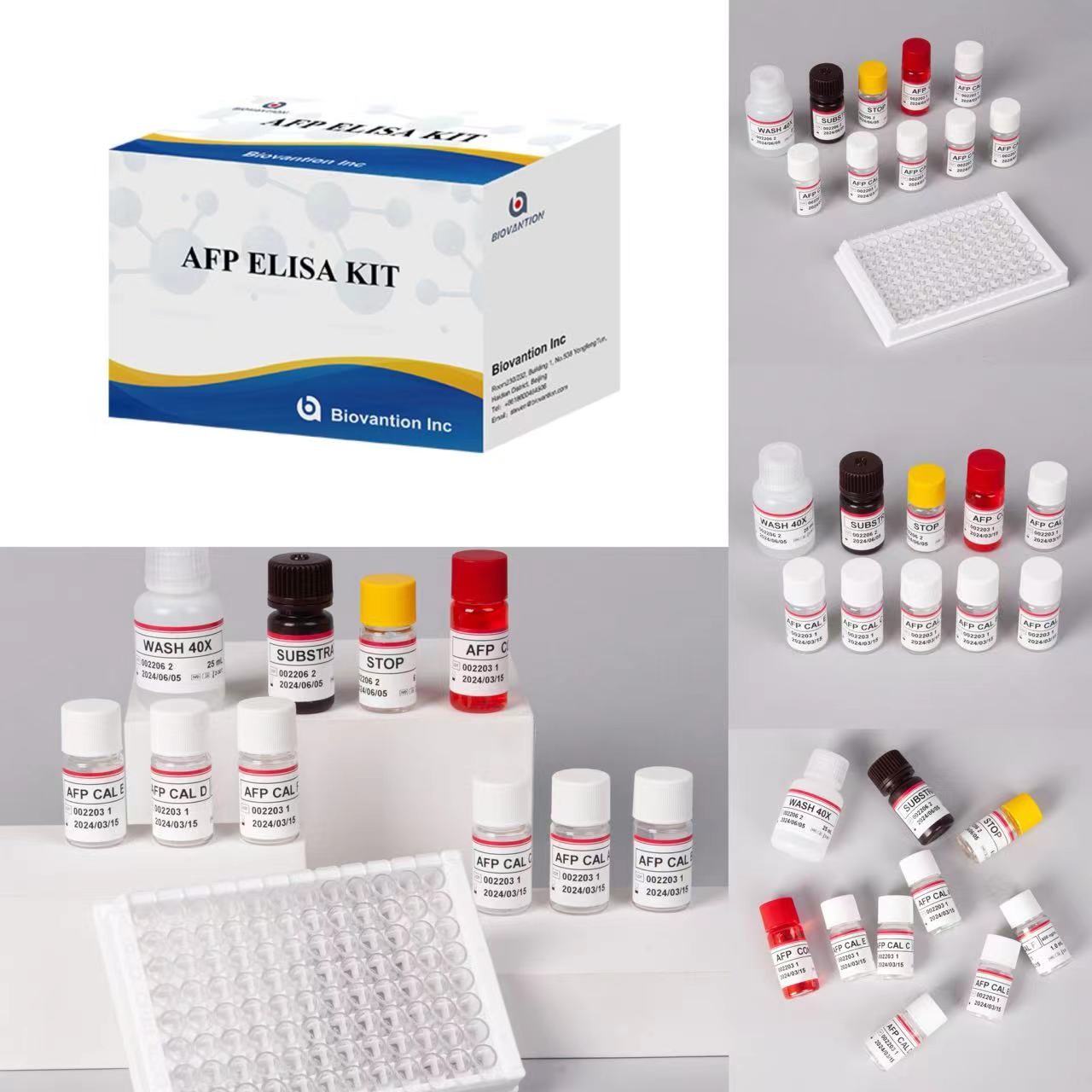 AFP Alpha Fetoprotein Elisa Test Kit Enzyme-Linked Products Transport ...