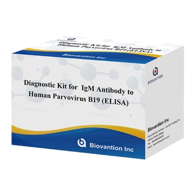 Diagnostic Kit For Human Parvovirus B19 IgM Antibody ELISA Ideal For Erythema Infectiosum And Complications In Pregnancy