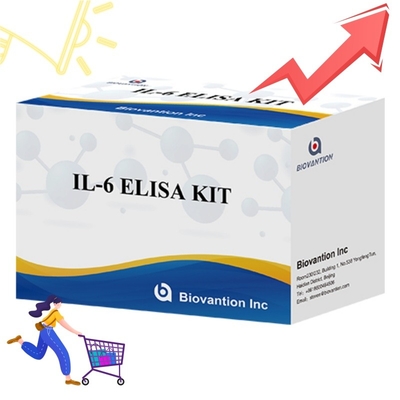 High Sensitivity ELISA Kit For IL6 Detection Reliable Research Reagents For Accurate Cytokine Analysis