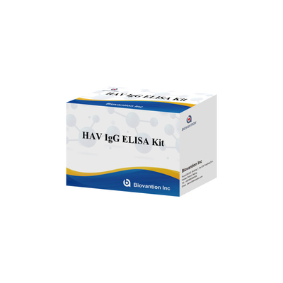 High Sensitivity HAV IgG ELISA Kit Accurate Hepatitis A Virus Detection Reliable CE Certified For Clinical And Research Use