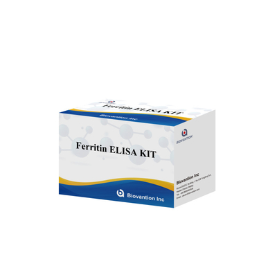 Biovantion High Sensitivity Ferritin Elisa Test Kit Quantitative Detection For Clinical Diagnostics And Research Use Human Serum Plasma Samples